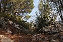 201209Malle_00178