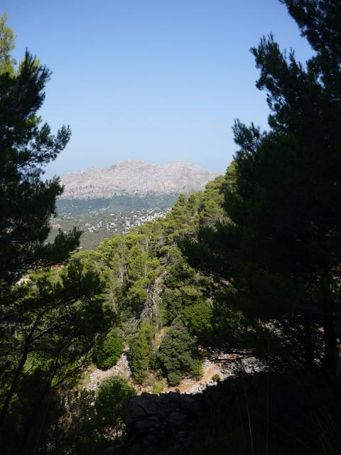 201209Malle_00271.jpg
