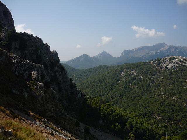 201209Malle_00282.jpg