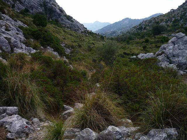 201209Malle_00330.jpg