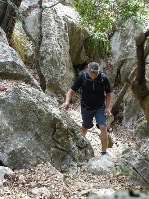 201209Malle_00473.jpg