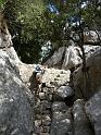 201209Malle_00469