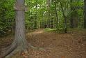 201210Slowenien_00016