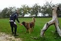 201210Slowenien_00115