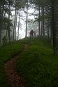 201210Slowenien_00157