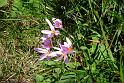 201210Slowenien_00196