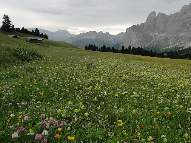 2012Wolkenstein_00116.jpg -                                